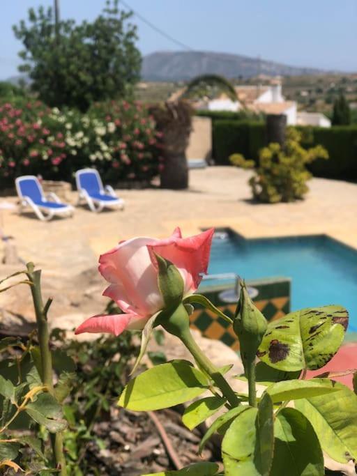 Rustico Appartment 'Olta' In Finca, See-And Garden Side Teulada Εξωτερικό φωτογραφία
