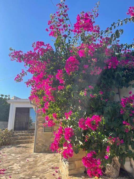 Rustico Appartment 'Olta' In Finca, See-And Garden Side Teulada Εξωτερικό φωτογραφία